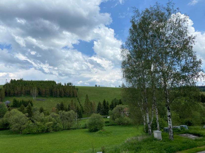 Apartman Orlicke Hory Orlicke Zahori Exterior foto