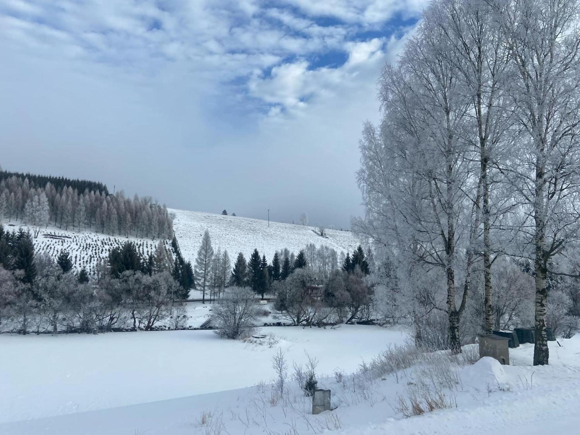 Apartman Orlicke Hory Orlicke Zahori Exterior foto