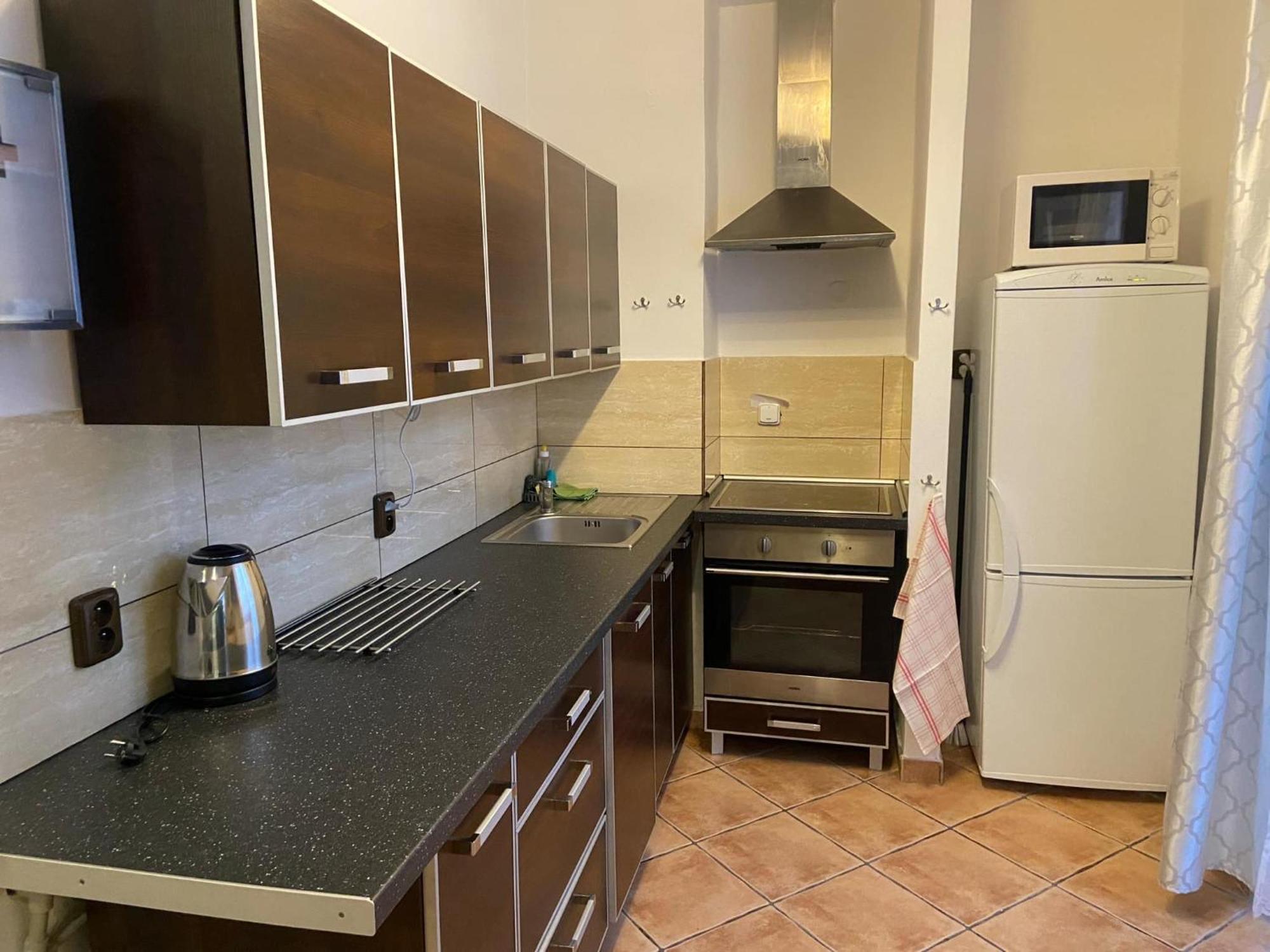 Apartman Orlicke Hory Orlicke Zahori Exterior foto